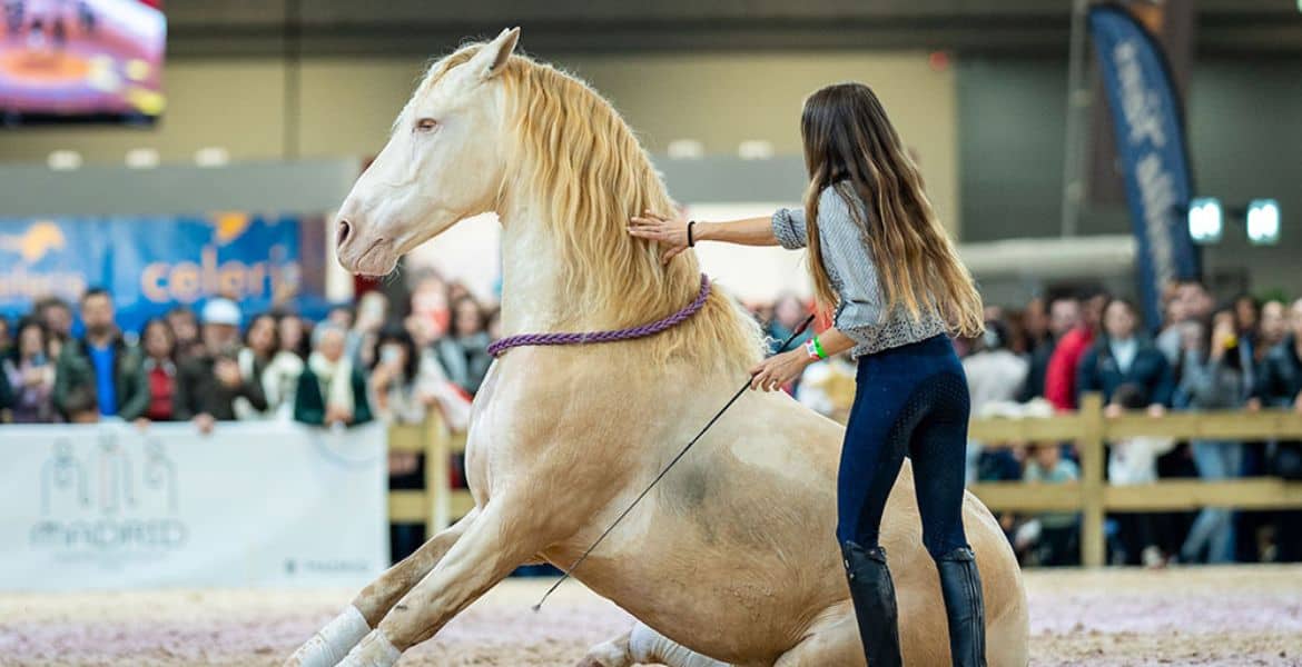 Madrid Horse Week