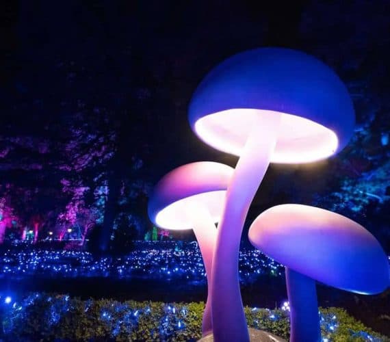 No te pierdas “Origen”: la cuarta edición de la Naturaleza Encendida en el Jardín Botánico de Madrid