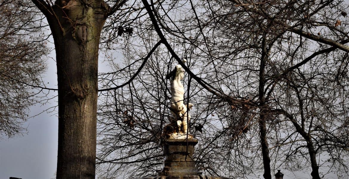 Ir a Aranjuez desde Madrid