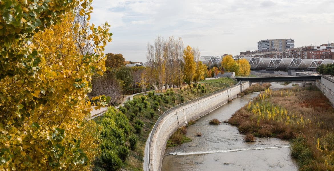 Árboles otoñales y río en el Parque Madrid Río, en Madrid, España. Entorno natural y zonas verdes cerca del hotel Madrid Río.