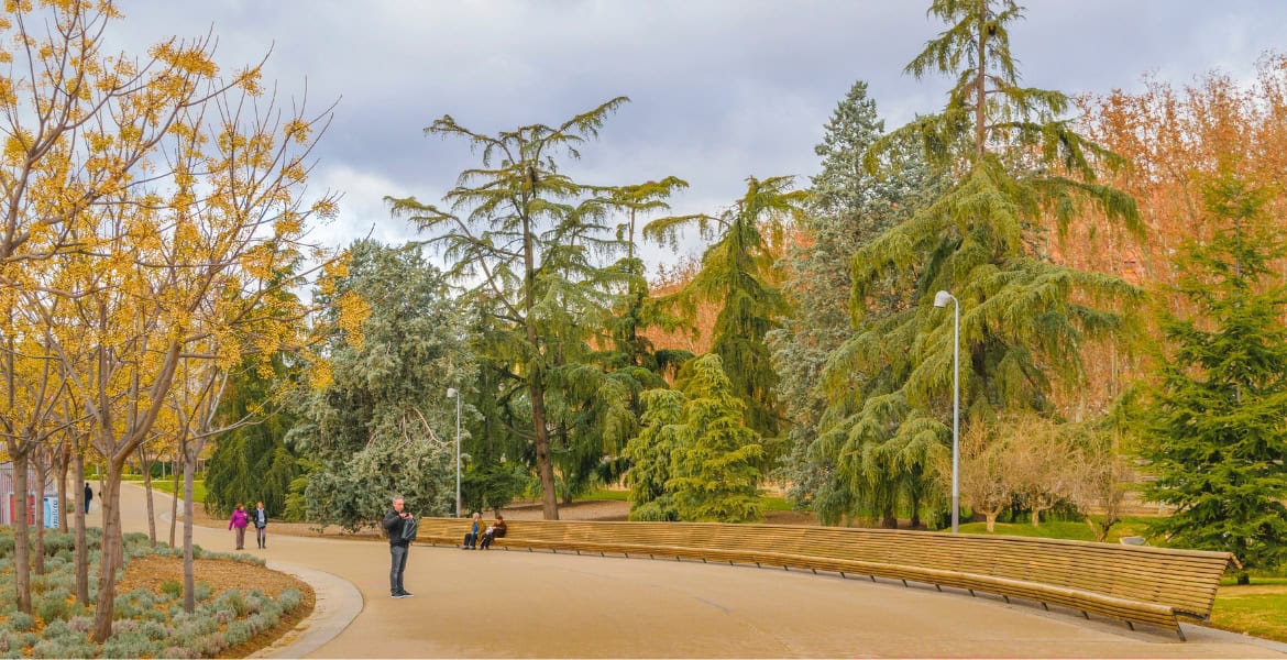 Amplio parque urbano con árboles variados y senderos para pasear en Madrid Río, ideal para relajarse y disfrutar de la naturaleza cerca del hotel Madrid Río.