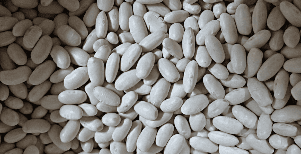 Archivo de semillas blancas para ensalada en un hotel en Madrid Río.