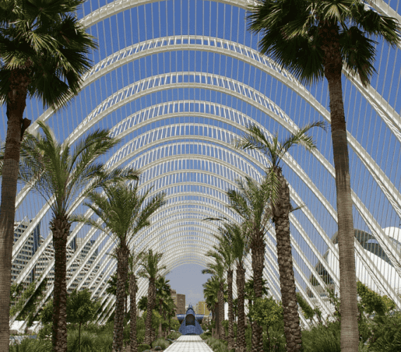 Cómo ir de Madrid a Valencia en tren: guía rápida para tu próxima escapada Cómo ir de Madrid a Valencia en tren: guía rápida para tu próxima escapada