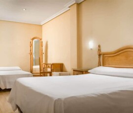 Habitación doble con mobiliario en madera y estilo clásico, ideal para una estancia confortable en el Hotel Madrid Río.